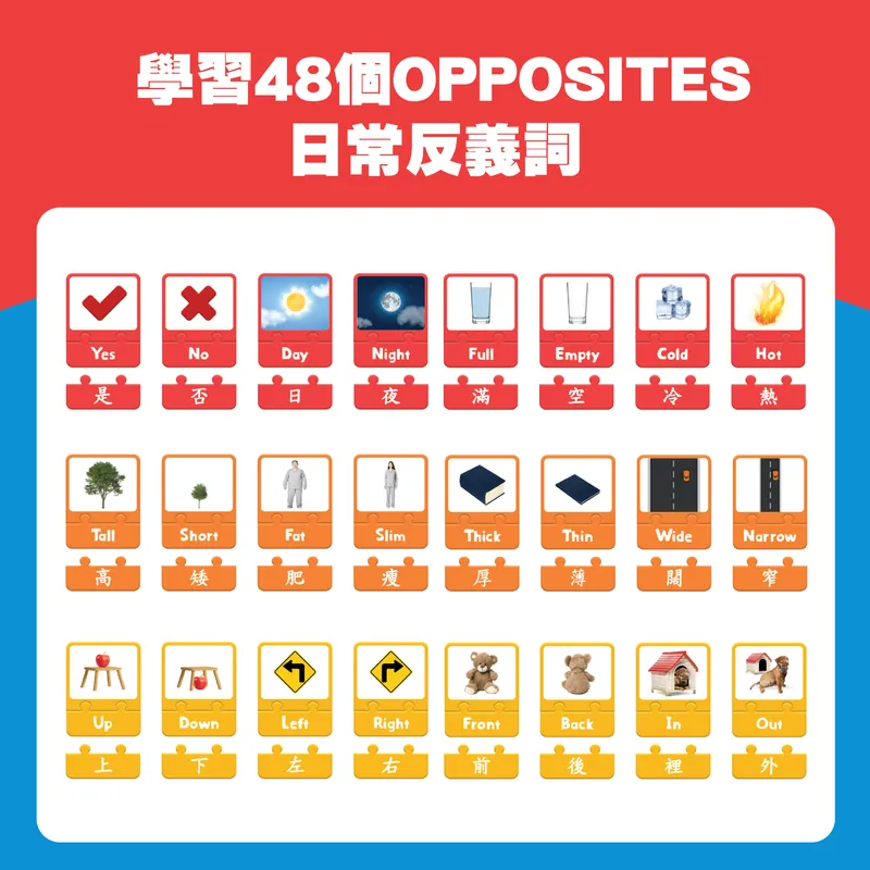 Curios Opposite Puzzle Card(SG)