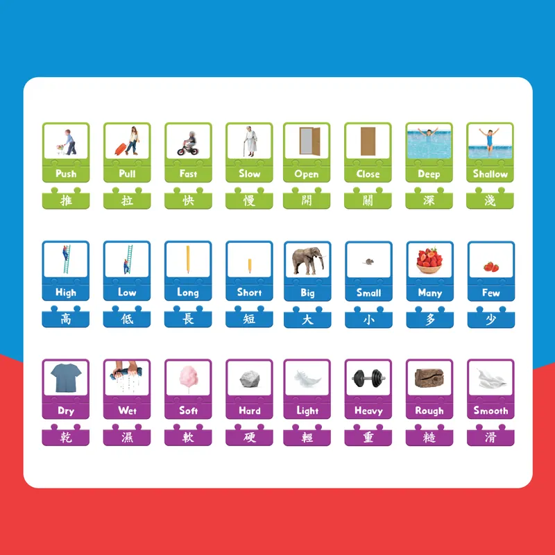 Curios Opposite Puzzle Card(SG)