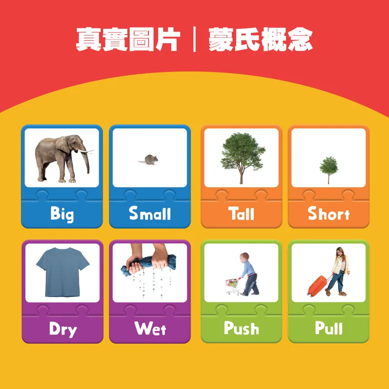 Curios Opposite Puzzle Card(SG)