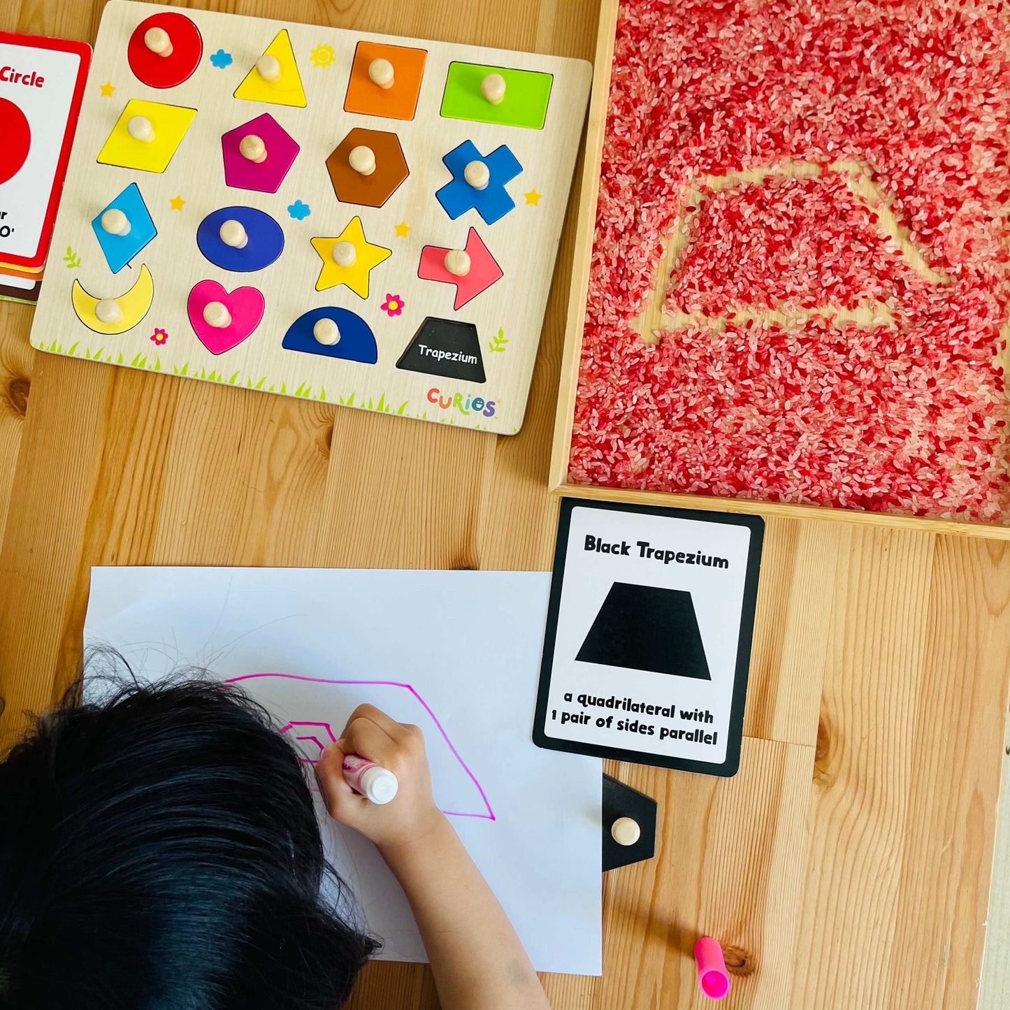 Curios - Magnetic Shape Board(SG)