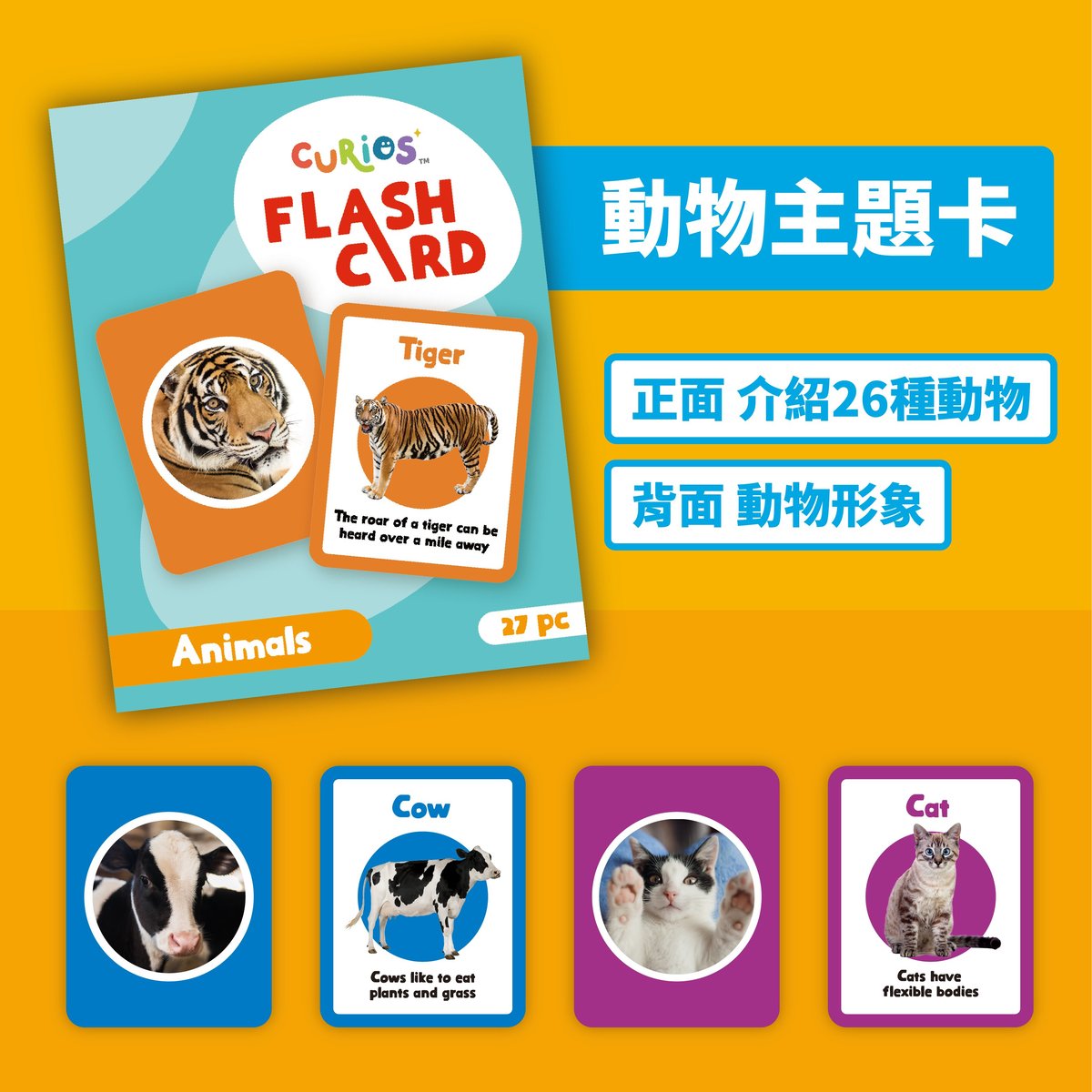 Curios Flashcard(SG)