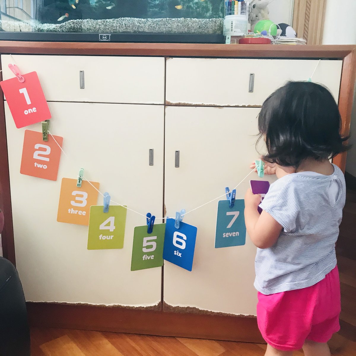 Curios Flashcard(SG)