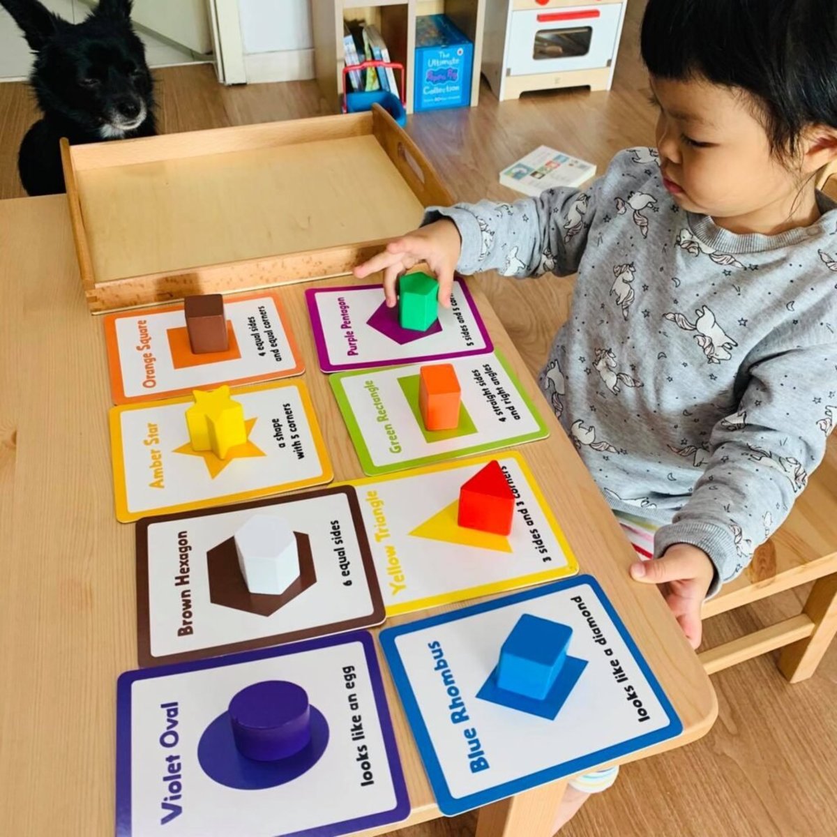 Curios Flashcard（SG）